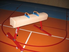 Gymnastický kůň s madly, umělá kůže, nastavitelná výška 90-120cm_obr3