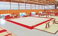 Tréninková gymnastická podlaha "LONDÝN" 13,05 x 13,05 m_obr8