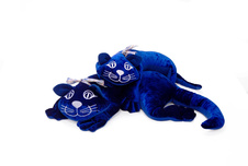 Zátěžová kočka 2kg Manimo® - modrá_obr2