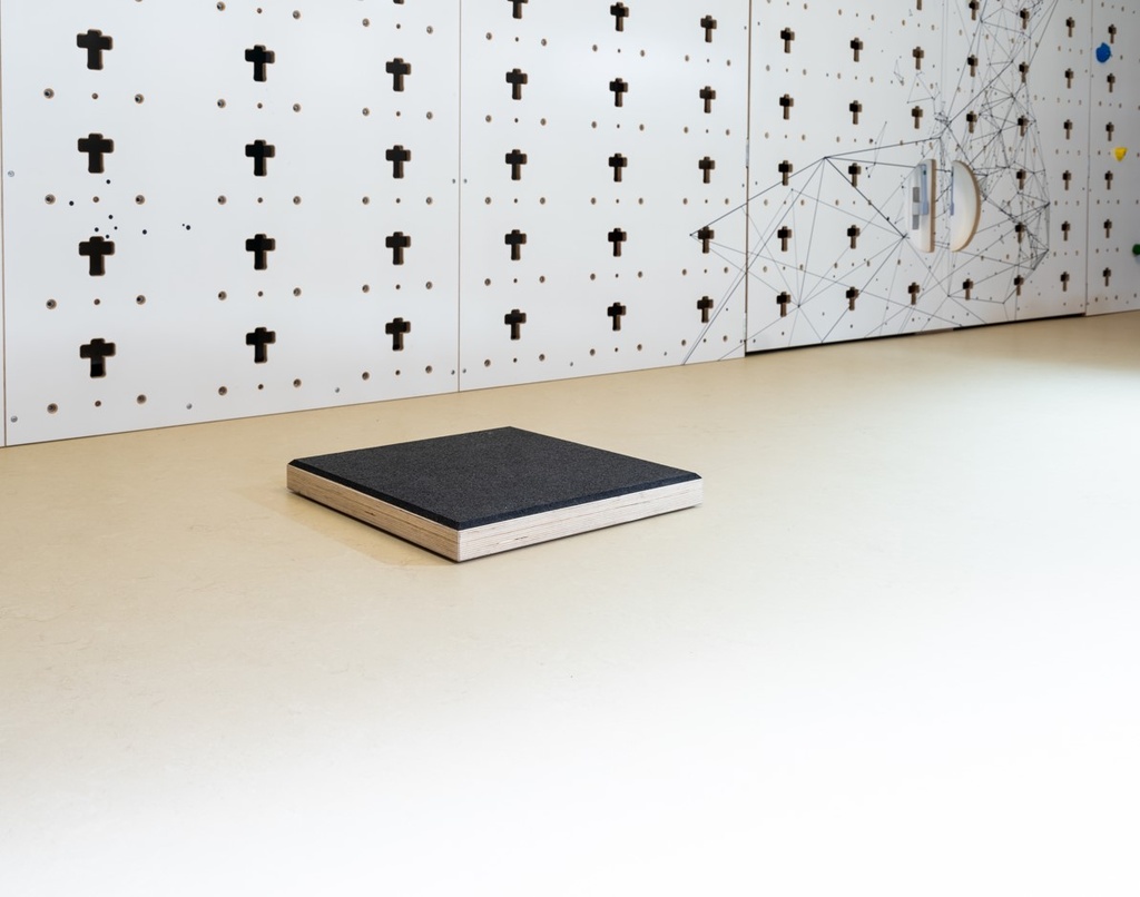 Plyo Box 50 x 50 x 10cm