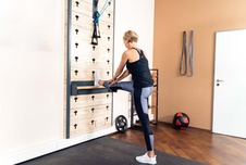 Nástěnná hrazda - Wall bar_obr2