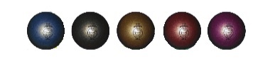 8166.jpg