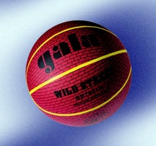 Míč basketbalový Gala Wild Street