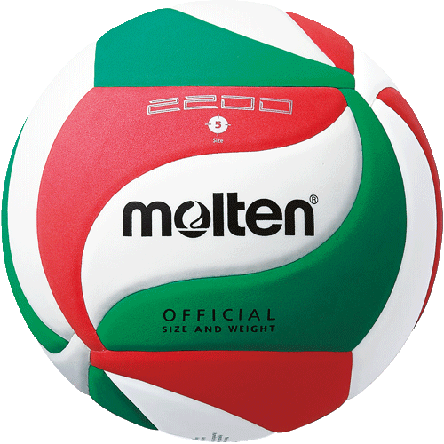 Míč volejbalový Molten - velikost 5