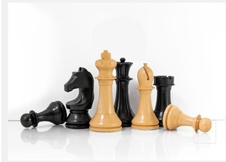 DGT Official FIDE Chess - šachové figurky