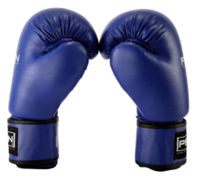 Boxerske rukavice modre