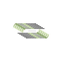 1_Sada_winner.jpg