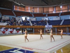 Soutěžní gymnastický koberec 14 x 14 m - Certifikace FIG_obr2