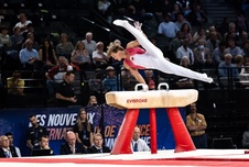 Soutěžní gymnastický kůň Gymnova- Certifikace FIG_obr5