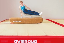 Kůň s madly nízký - výška 50cm_obr4