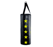 Boxerský pytel PIR 02_obr2