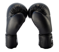 Boxerské rukavice Amateur line PIR 16_obr2