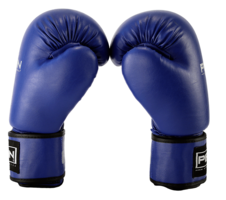 Boxerské rukavice Amateur line PIR 16_obr4
