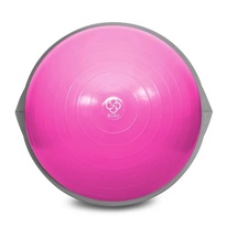 Bosu_profi_pink_1.jpg