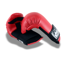 Rukavice Kumite Profi PIR 27_obr2