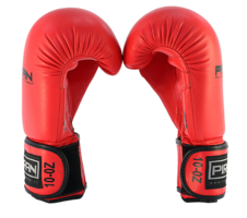 Boxerské rukavice  Amateur line PIR 18_obr2