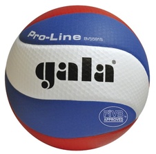 Míč volejbalový PRO - LINE - 10 panelů_obr2