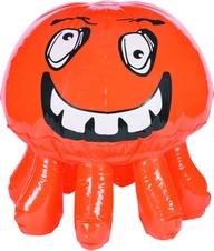 Chobotnice Octopus_obr3
