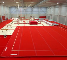 Tréninková gymnastická podlaha pružinová 13x13m_obr3