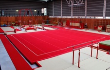Tréninková gymnastická podlaha pružinová 13x13m_obr10